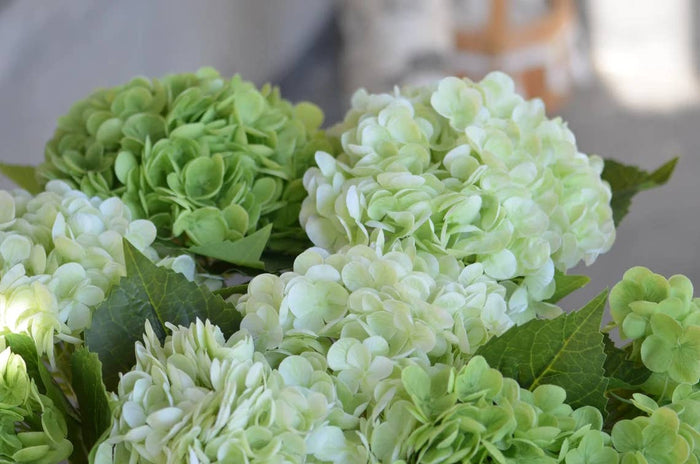 18" Realistic Real Touch Artificial Hydrangea Stem: Soft Blue