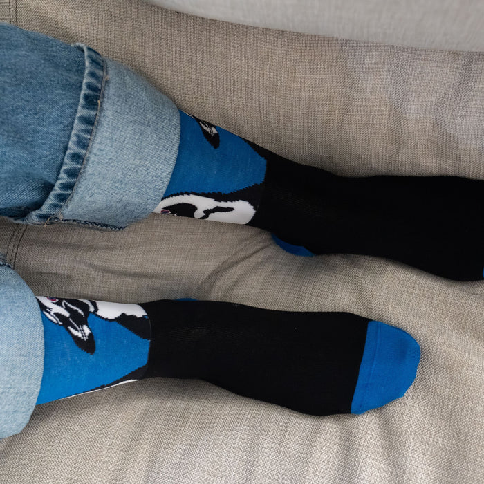 African Penguins Bamboo Socks