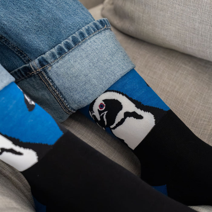 African Penguins Bamboo Socks