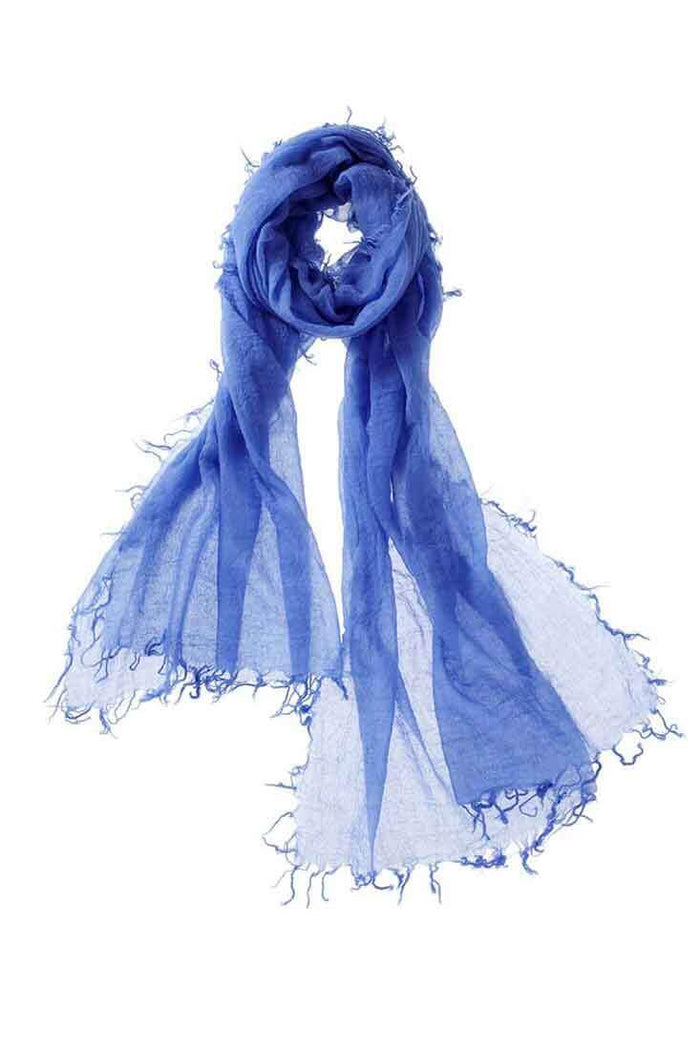 Cornflower