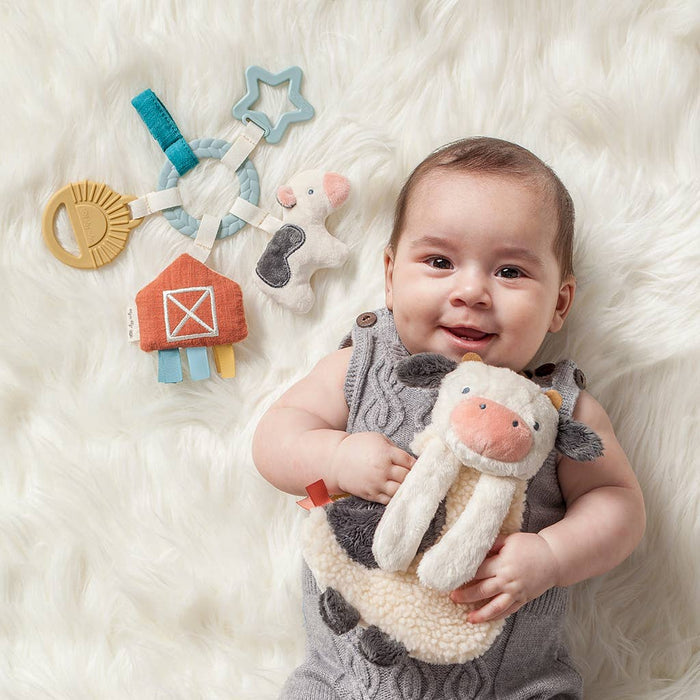 Bitzy Busy Ring™ Teething Activity Toy: Veggie
