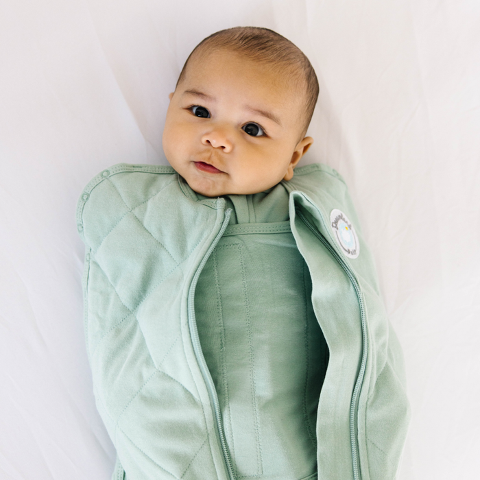Dreamland Baby Weighted Sleep Swaddle - Sage Green