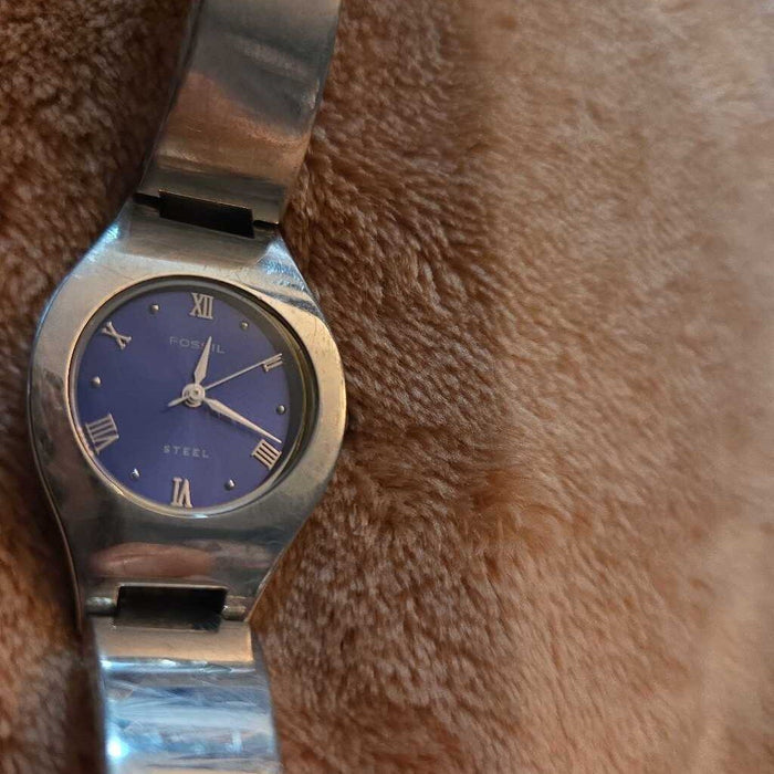 Fossil Watch