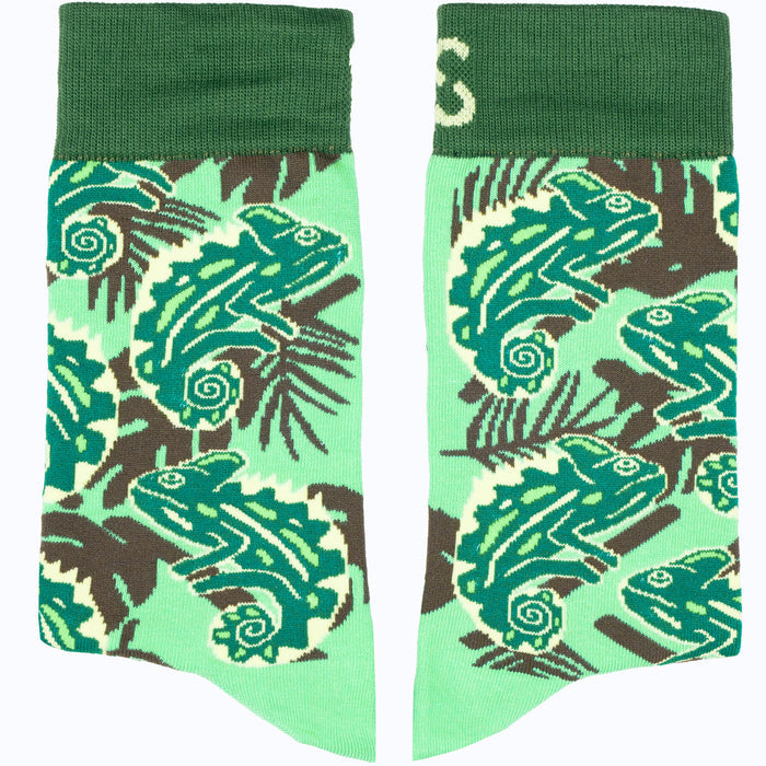 Hide & Seek Cotton Socks