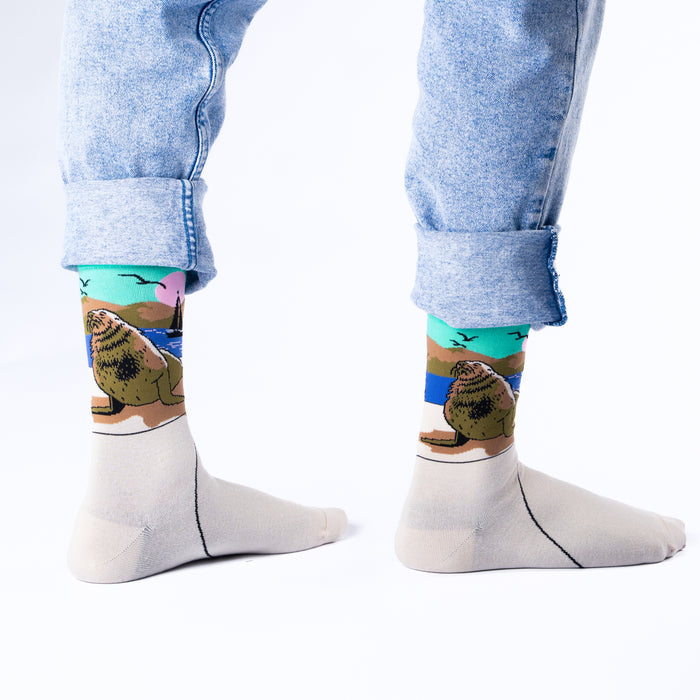 Hout Bay Seal Bamboo Socks
