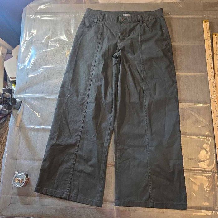 New Wild Fable Pants