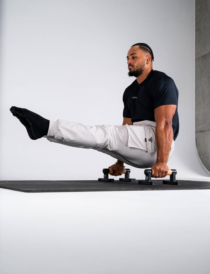 Premium Parallettes Active