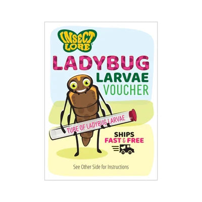 Raise & Release Ladybug Land