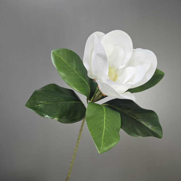 Realistic 6-8"Large bloom Magnolia Flower with Leaves: 29.5" Long