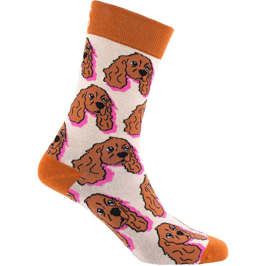 Spaniel Cotton Socks