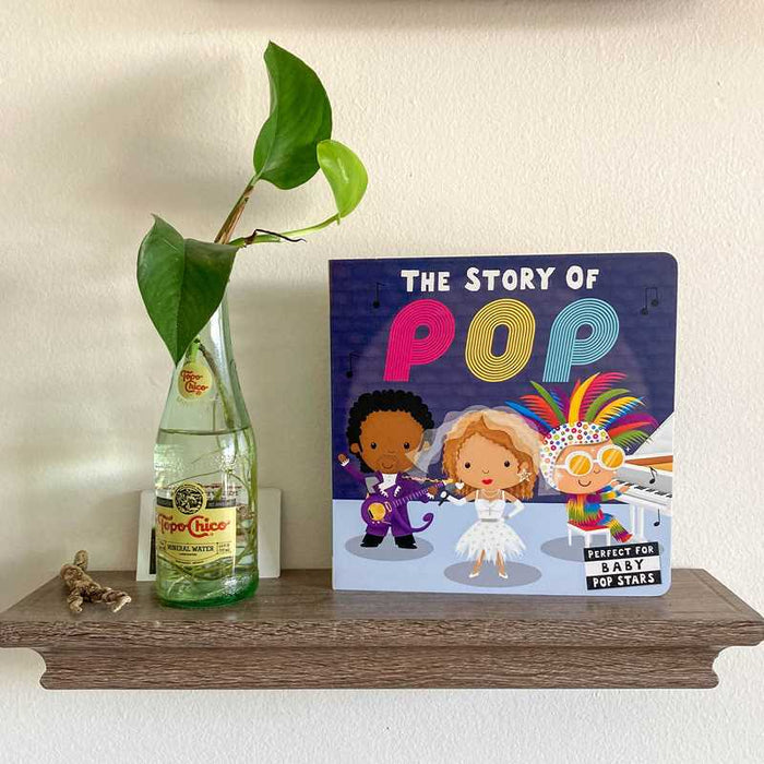 Story of Pop Book