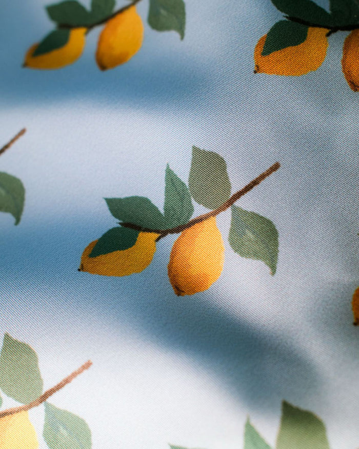 Swim Short | Lemons