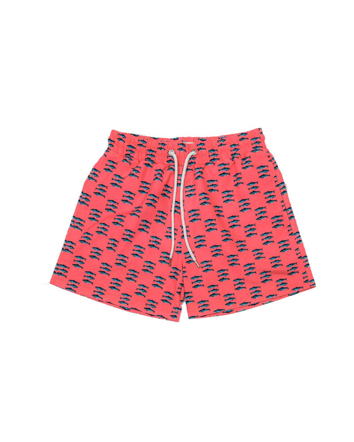 Swim Short | Seabass