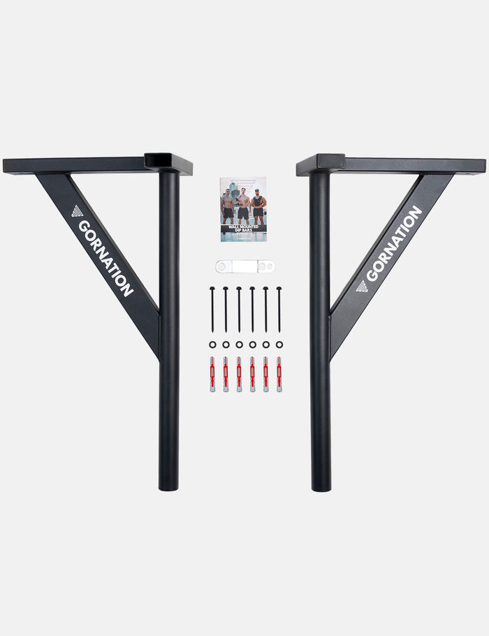Wall Mounted Dip Bars