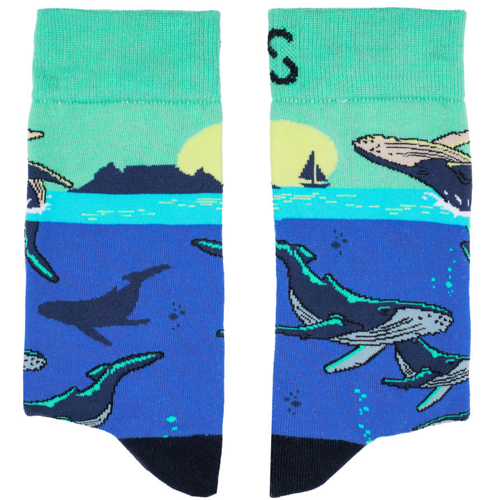 Whale Watching Bamboo Socks